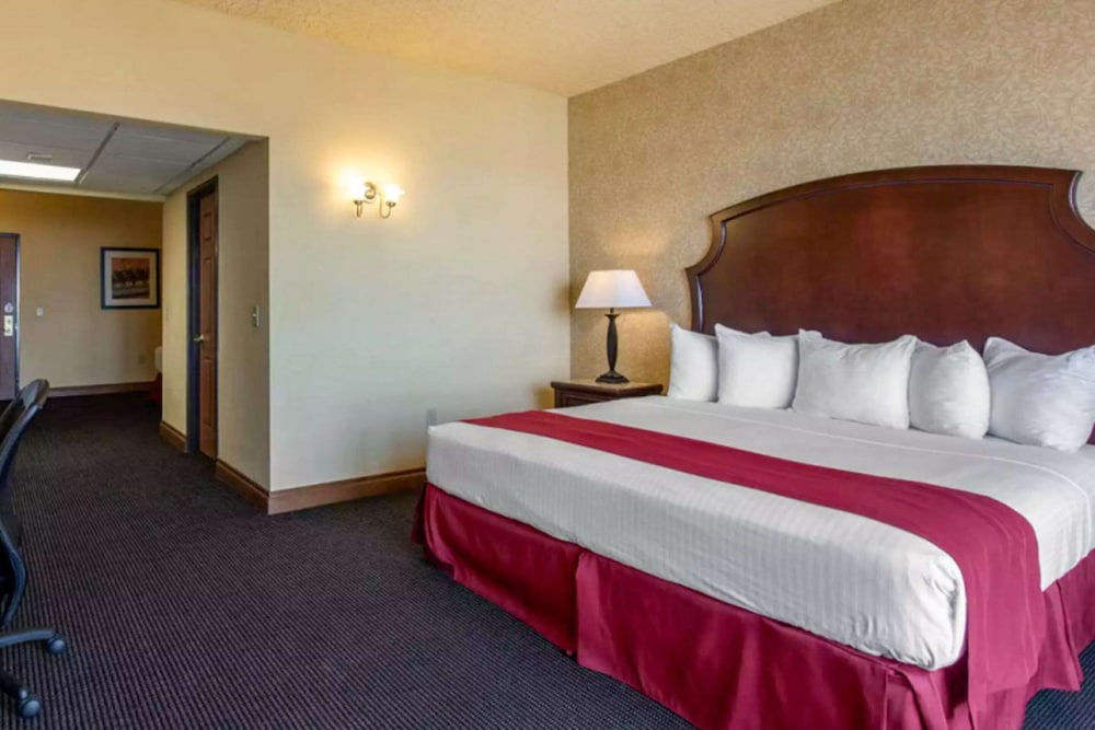 Standard Room, Multiple Beds Smoking policy Non-smoking photo 3