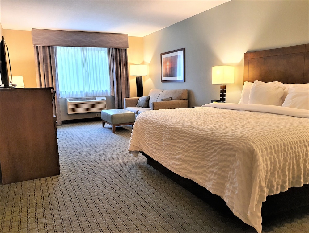 Business Single Room photo 3