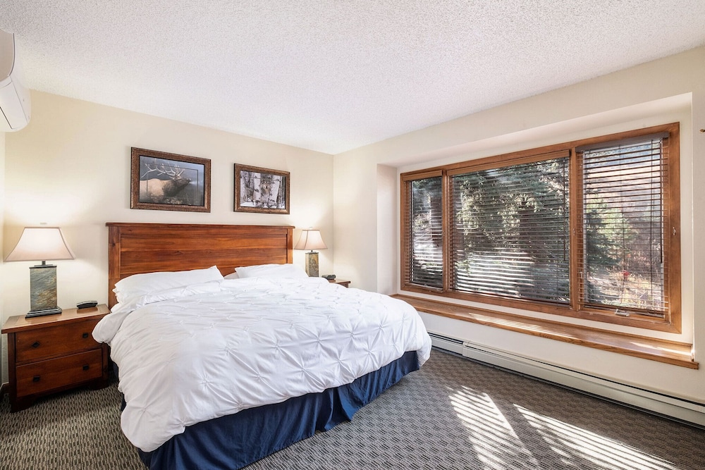 One Bedroom Suite (Downstairs, No Stove)