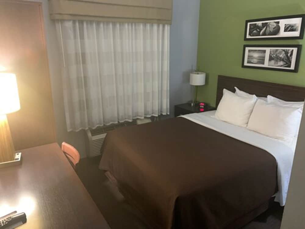 Room, 1 Queen Bed