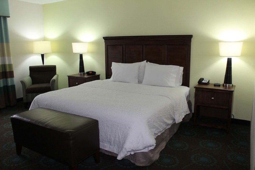 One King Bed - Photo 2