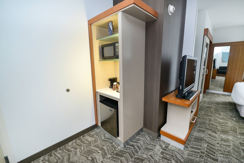 Studio, Multiple Beds - Photo 3