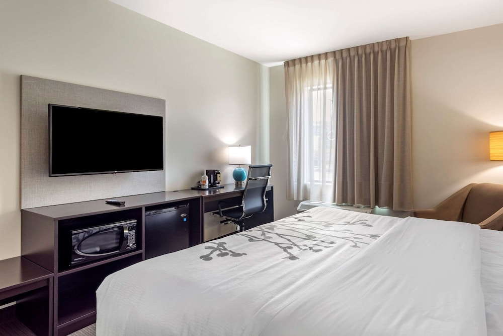 Room, 1 King Bed, Accessible, Non Smoking - Photo 2