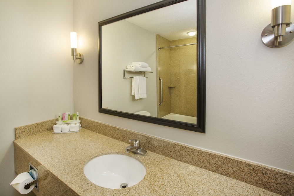 Suite, 1 King Bed - Photo 2