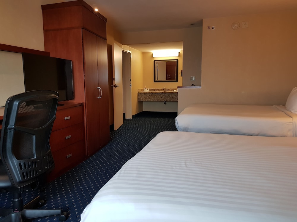 Suite, 1 Bedroom - Photo 3