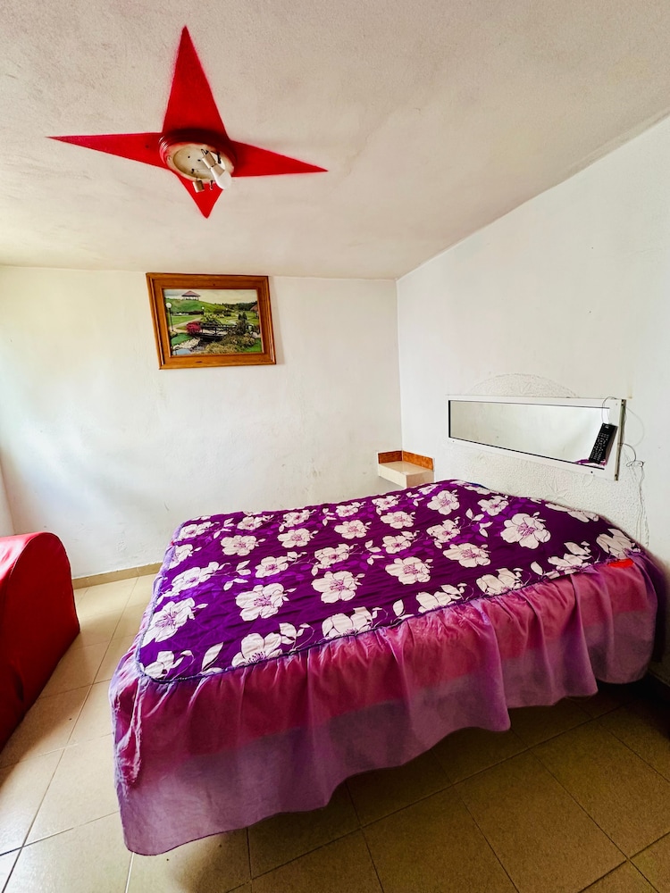 Basic Room photo 3