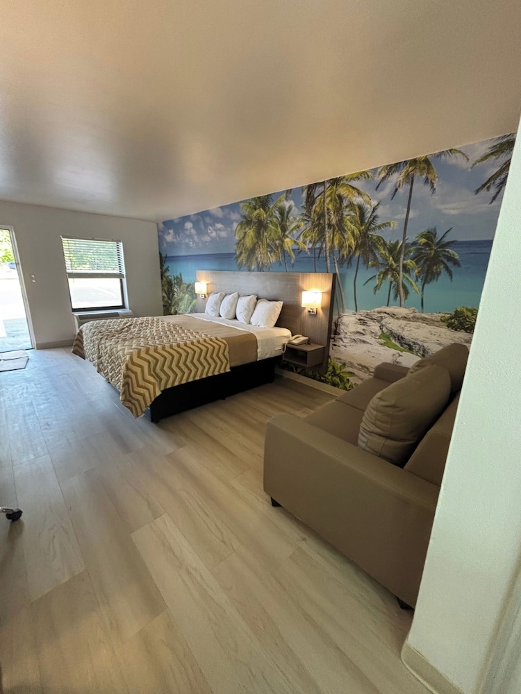 Room, 1 King Bed with Sofa bed, Non Smoking photo 3