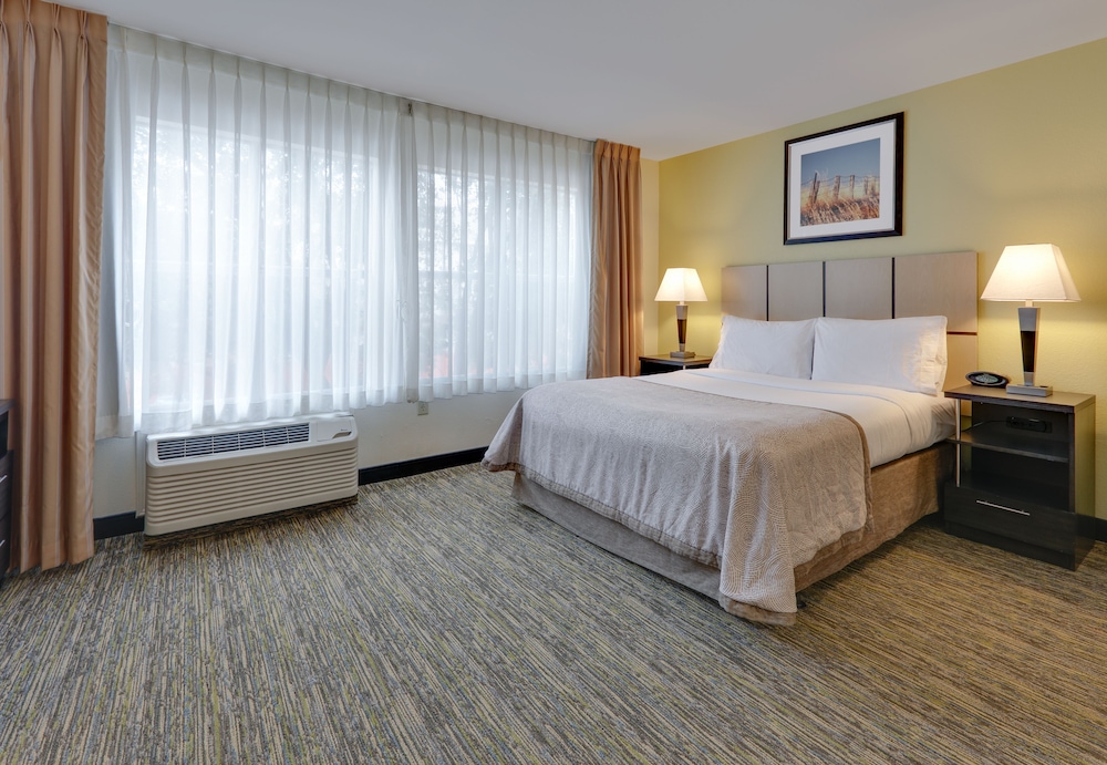 Suite, 1 Bedroom, Accessible Bathtub (Mobility Tub) - Photo 4