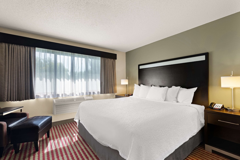 Suite, 1 King Bed, Non Smoking, Refrigerator & Microwave (with Sofabed) - Photo 2