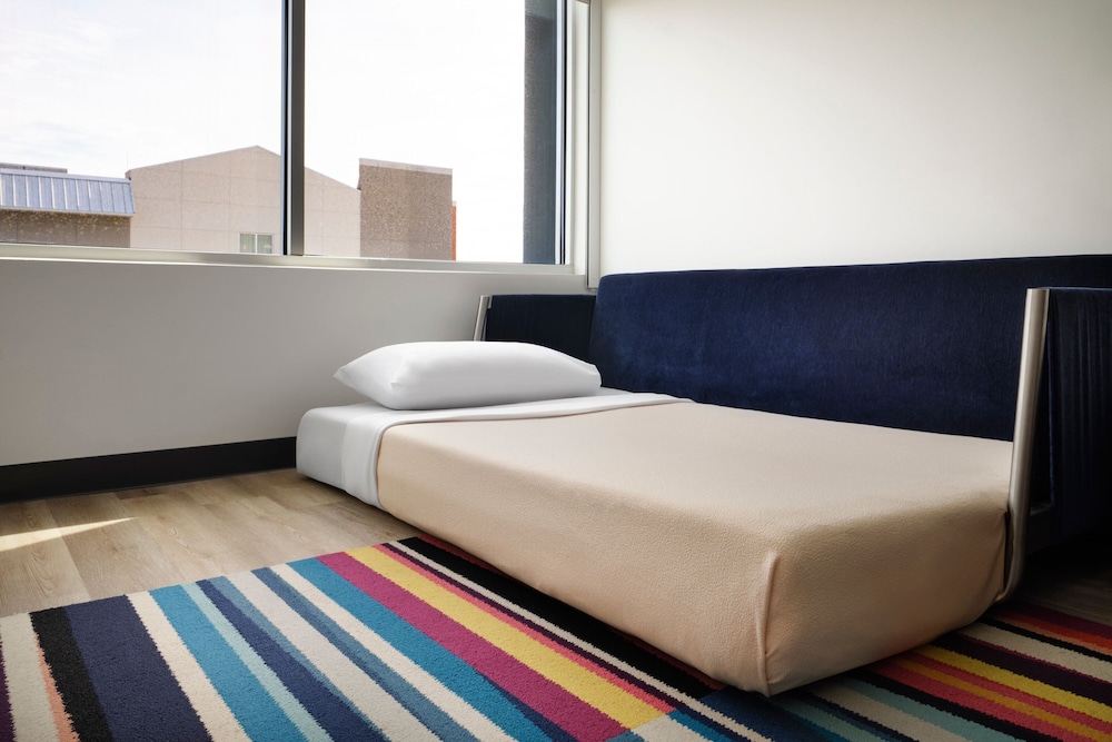 Room, 1 King Bed with Sofa bed