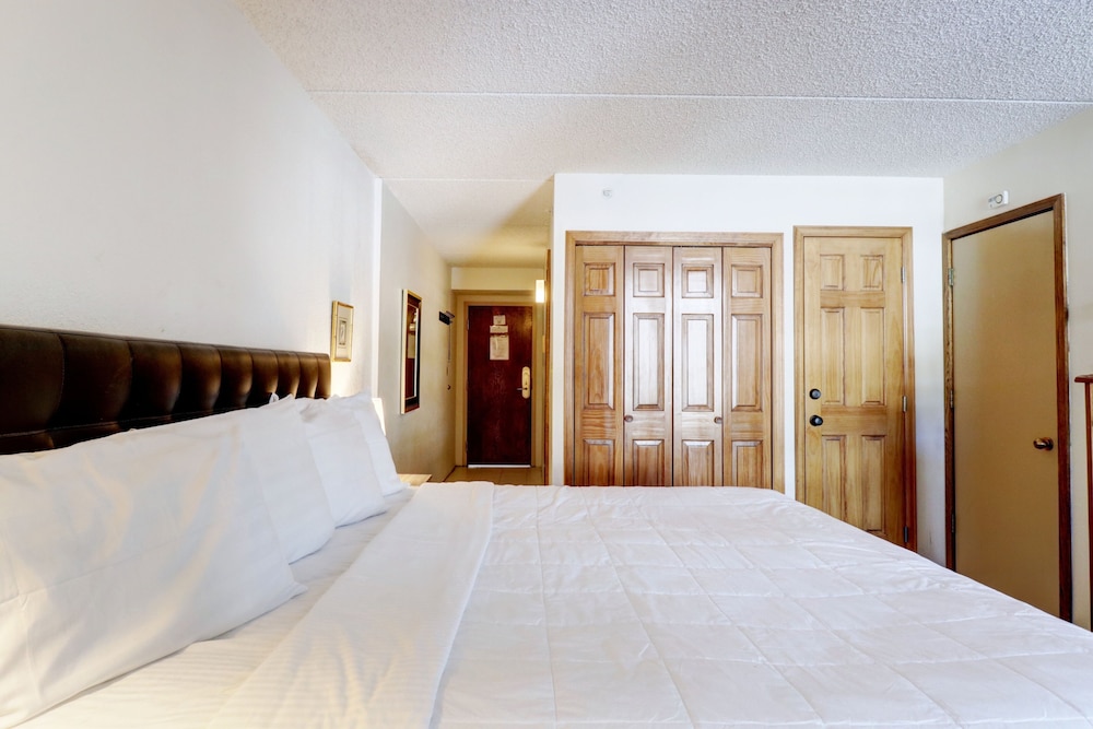 Room, 1 Bedroom photo 1