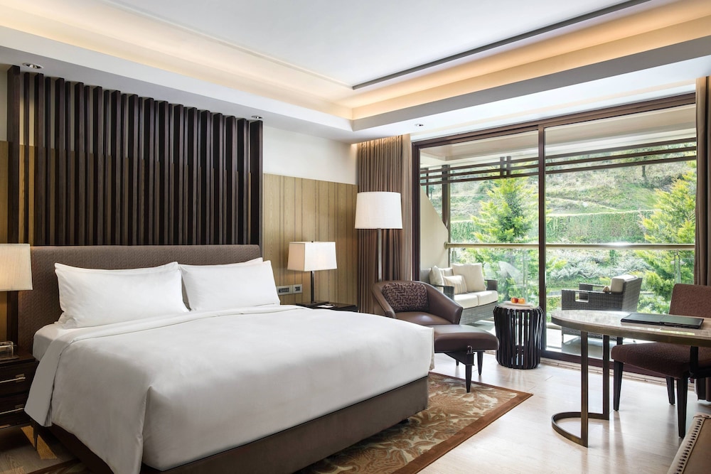 Room, 1 King Bed, Balcony photo 1
