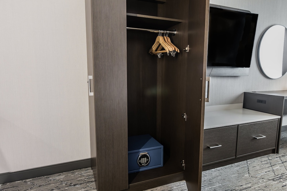 Suite, 1 King Bed with Sofa bed