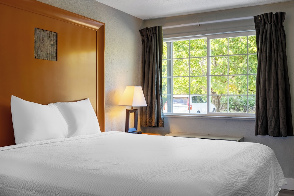Room, 1 King Bed, Accessible - Photo 6
