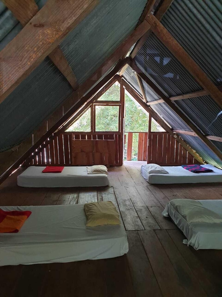 Basic Shared Dormitory, Mixed Dorm photo 1