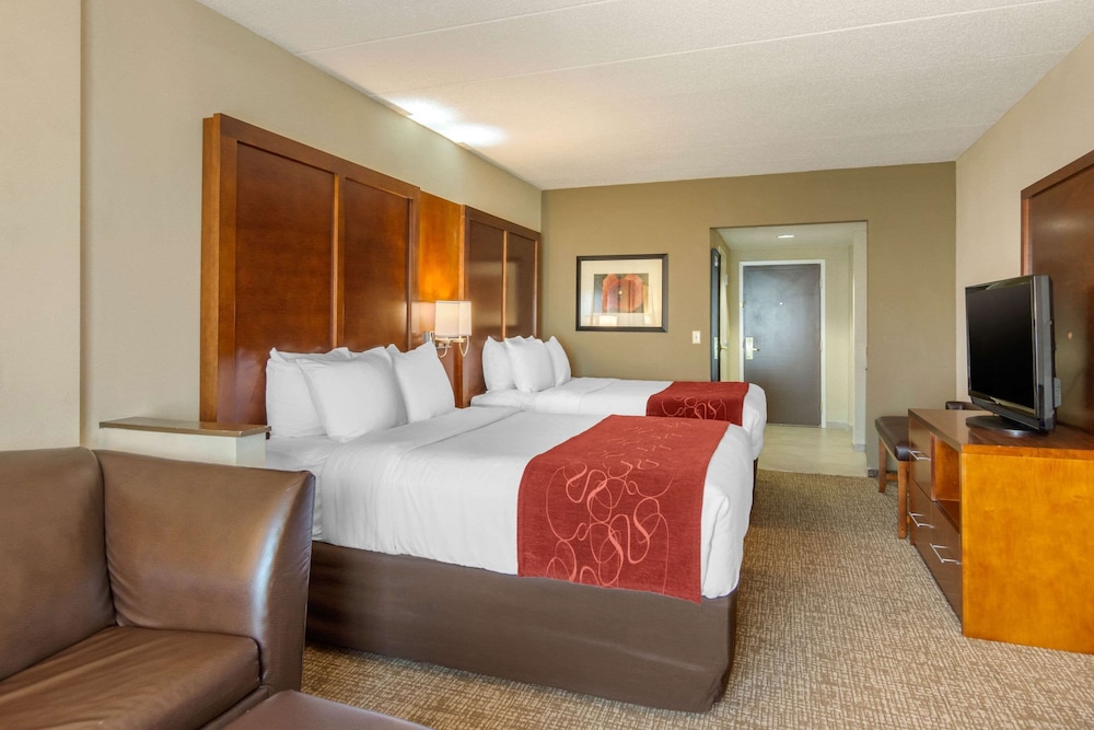 Studio Suite, Multiple Beds - Photo 7