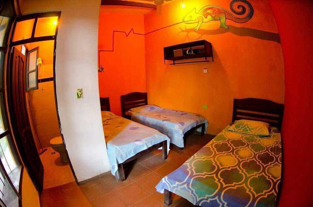 Shared Dormitory, Mixed Dorm (9 Beds) photo 1