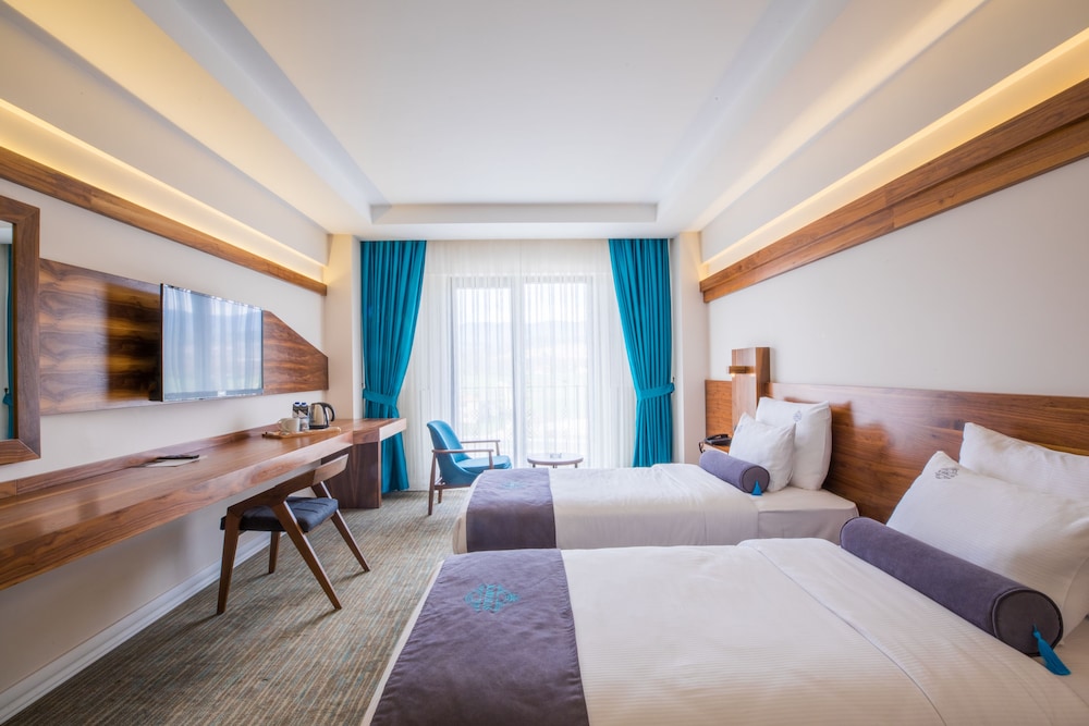 Superior Twin Room, Pool Access photo 2