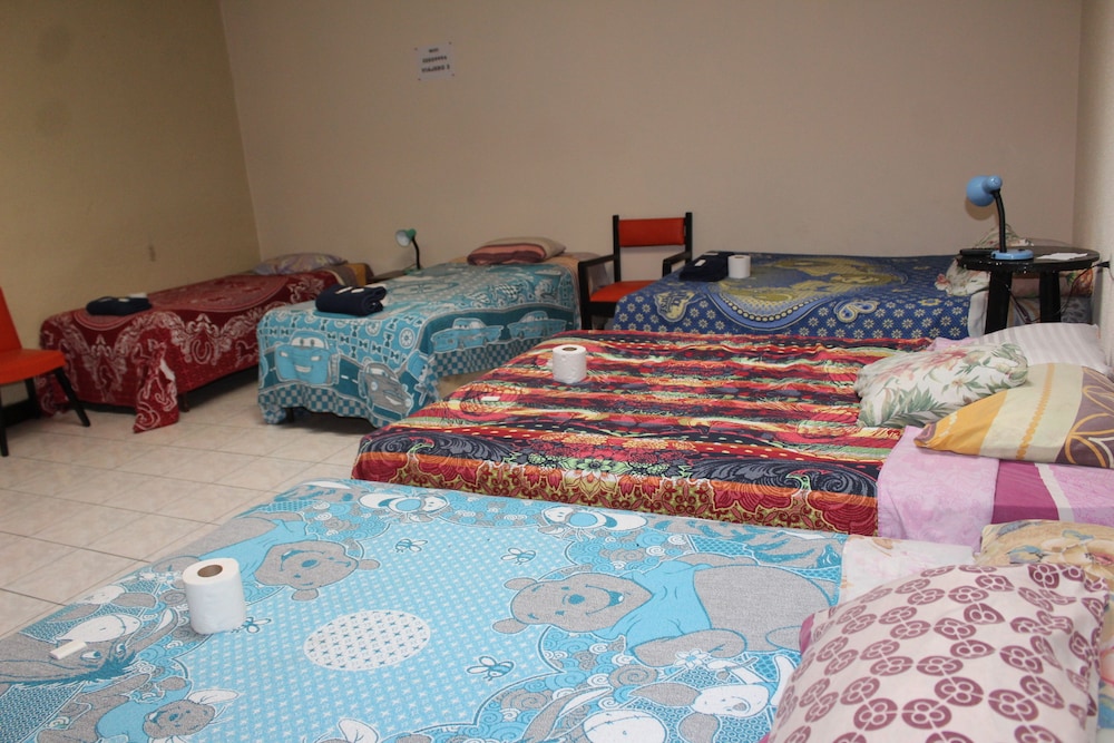 Comfort Shared Dormitory photo 2