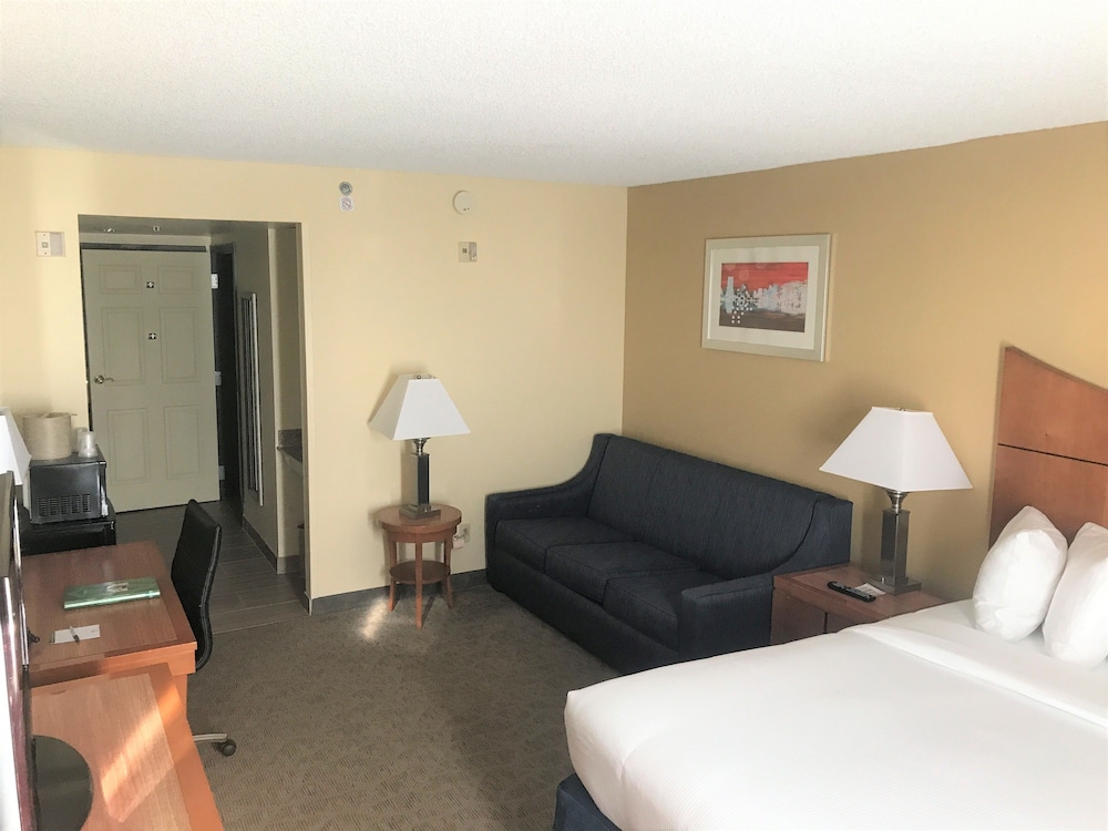 Standard Room, 1 King Bed with Sofa bed, Refrigerator & Microwave