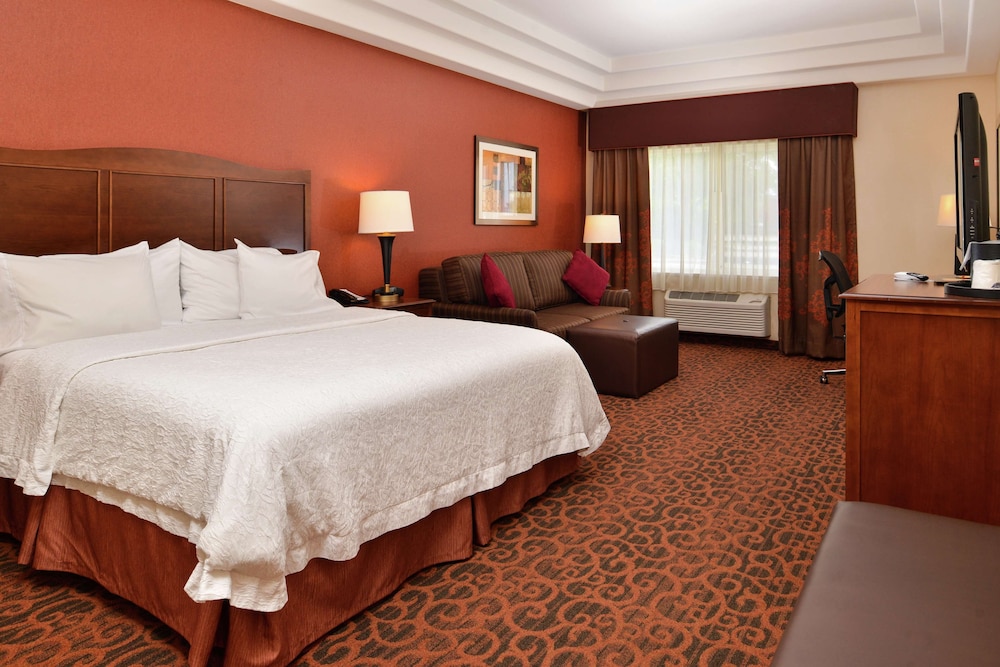 Room, 1 King Bed, Accessible - Photo 1