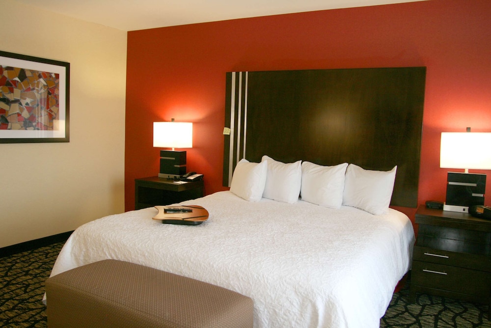 Basic Room, 1 King Bed, Accessible, Bathtub (Mobility & Hearing) - Photo 5