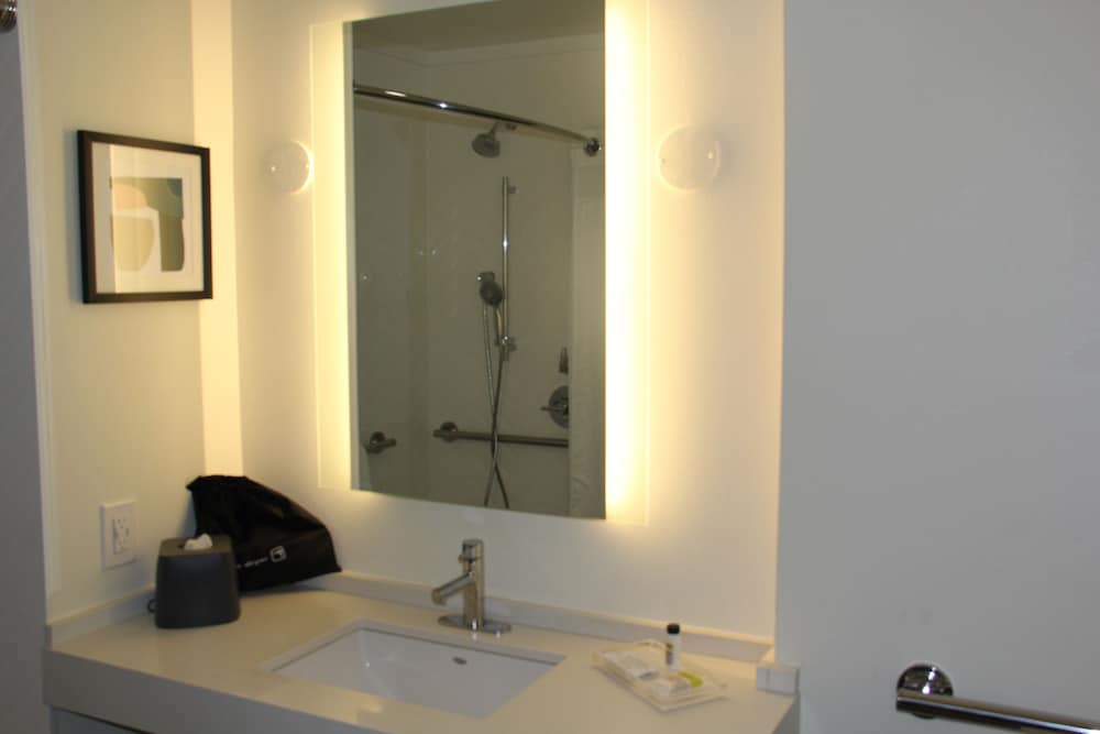 Standard Room, 1 King Bed, Roll-in Shower (Roll-In Shower) - Photo 7