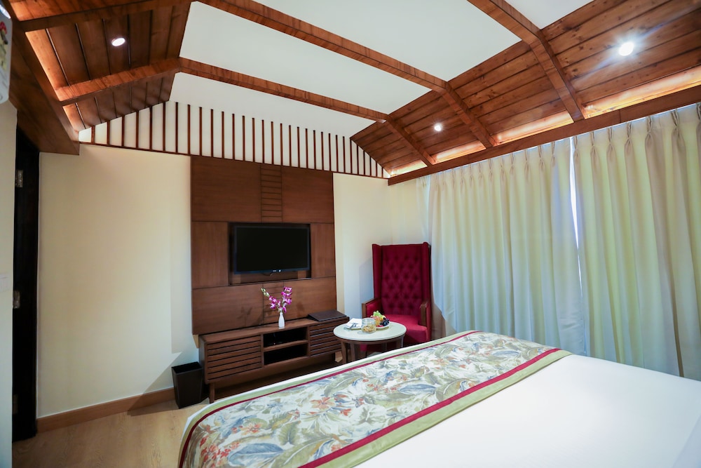 Suite - Photo 3
