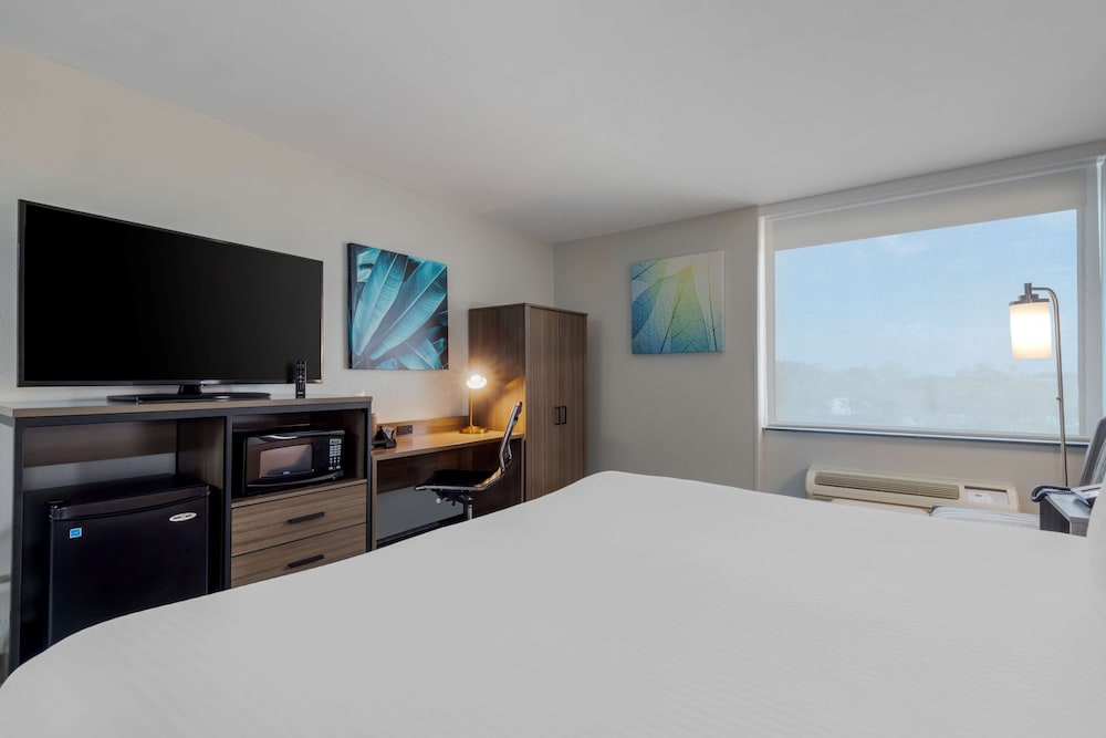 Standard Room, 1 King Bed, Non Smoking, Refrigerator & Microwave - Photo 3