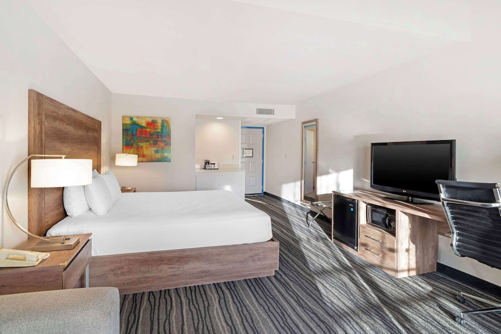 Standard Room, 1 King Bed, Non Smoking, Microwave - Photo 1