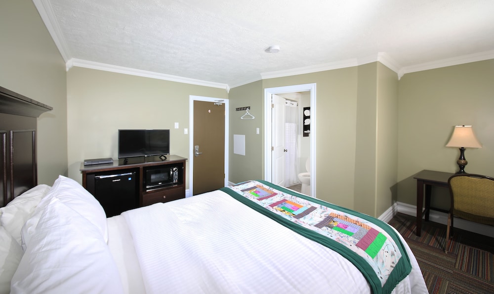 Room, 1 Queen Bed photo 1