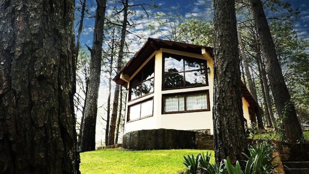 Family Cabin photo 1