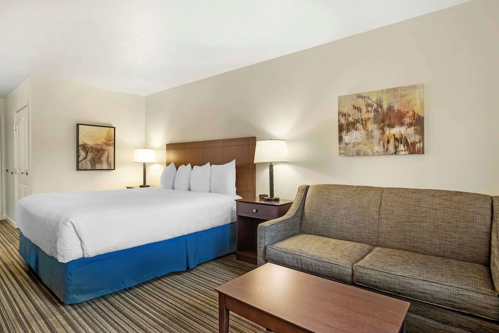Standard Room, 1 King Bed, Accessible, Non Smoking photo 2