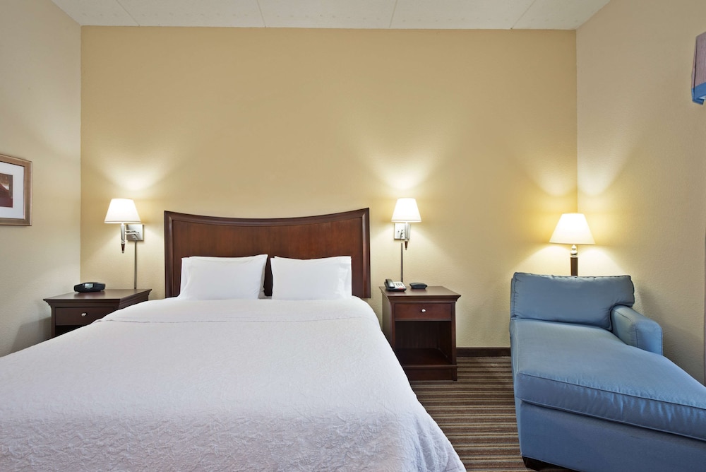 Room, 1 King Bed, Accessible, Non Smoking (Mobility & Hearing, Roll-in Shower) - Photo 1
