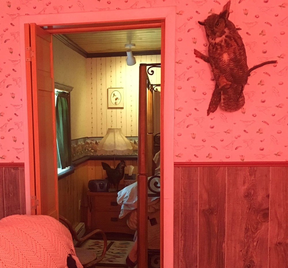 Suite, 1 King Bed, Accessible, Mountain View (Bird Suite)