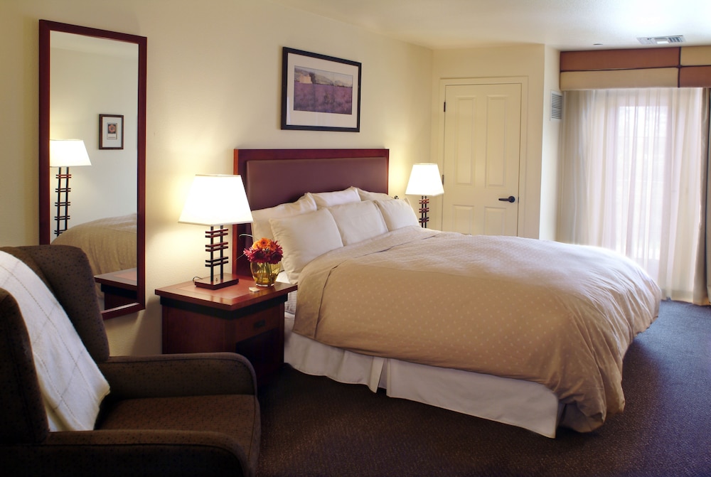 One Bedroom Suite - Photo 4