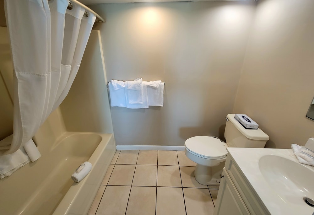 Basic Single Room photo 3