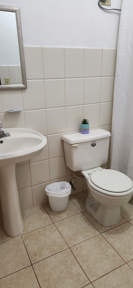 Signature Apartment photo 2