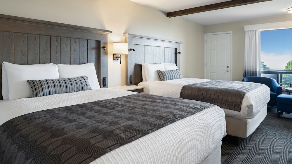 Room, Multiple Beds