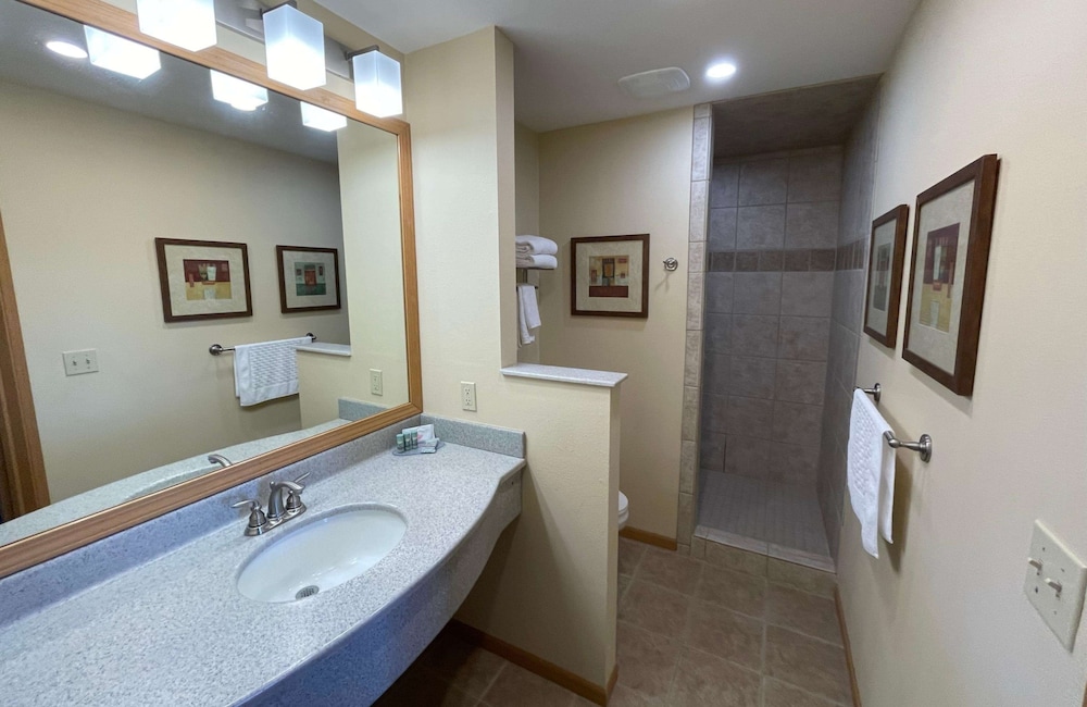Standard Room, 1 King Bed, Non Smoking, Refrigerator & Microwave photo 2