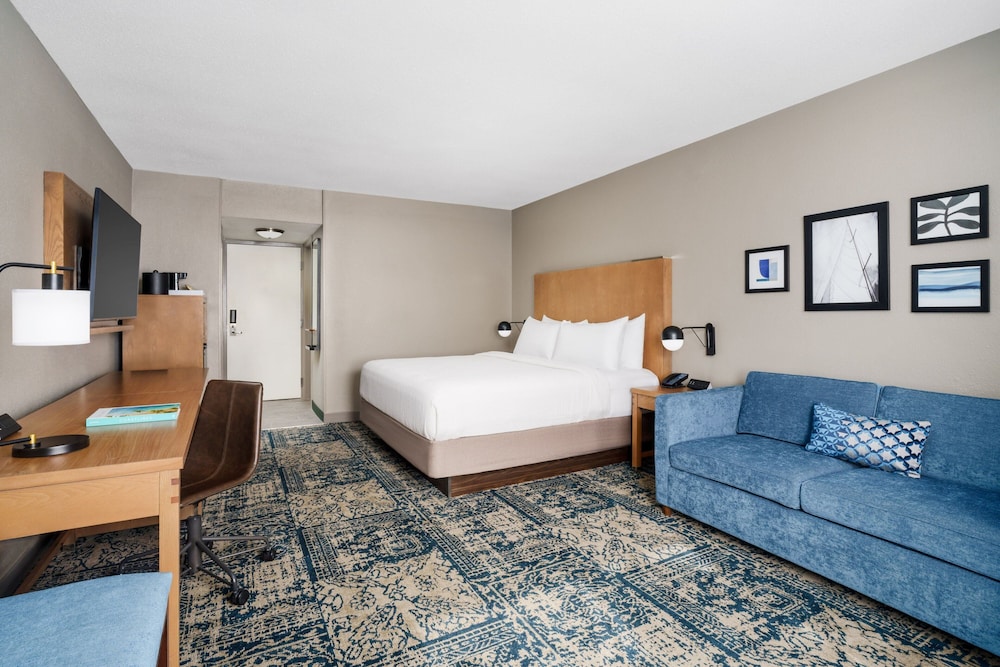 Room, 1 King Bed (Mobility Accessible, Roll-In Shower) - Photo 1