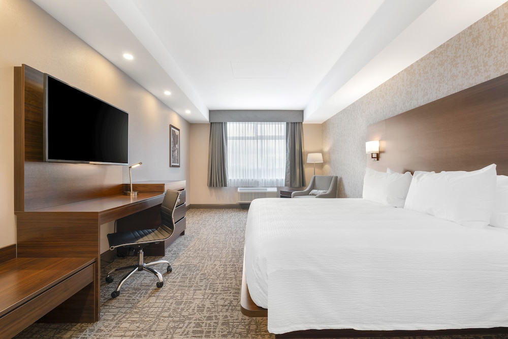 Standard Room, 1 King Bed, Non Smoking, Refrigerator & Microwave photo 3