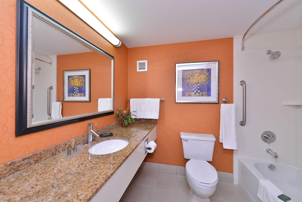 Suite, 1 King Bed, Accessible, Non Smoking (with Sofabed) - Photo 4