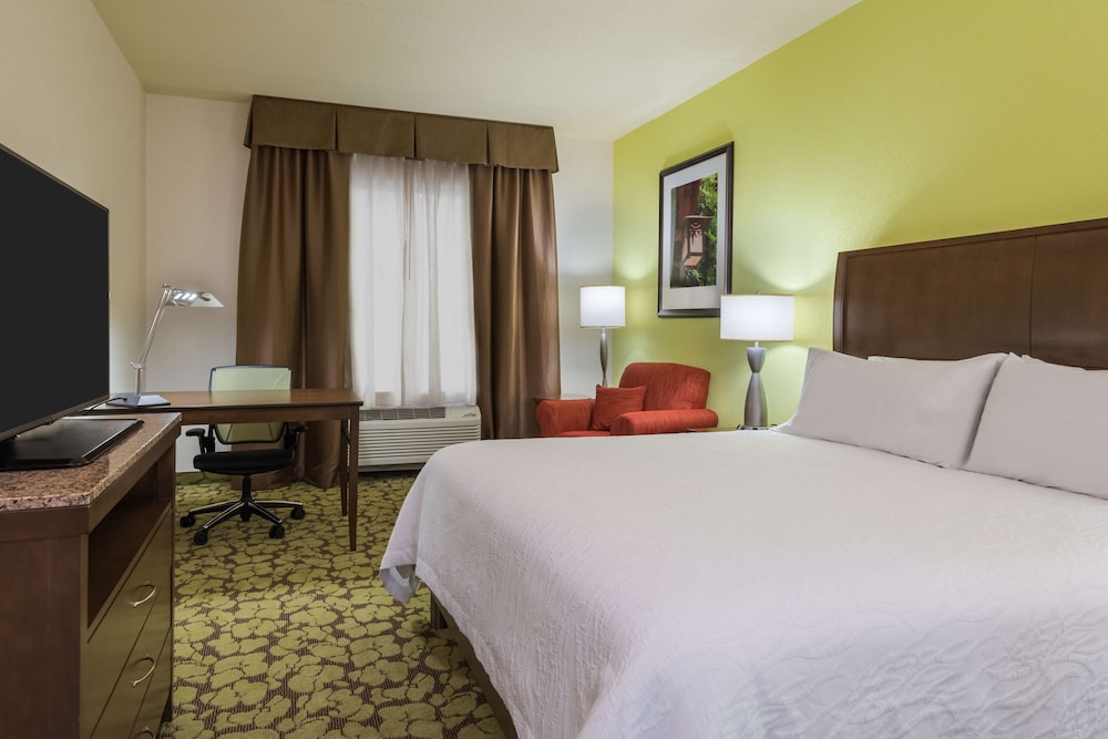 Room, 1 King Bed, Roll-In Shower, Hearing and Mobility Accessible photo 2