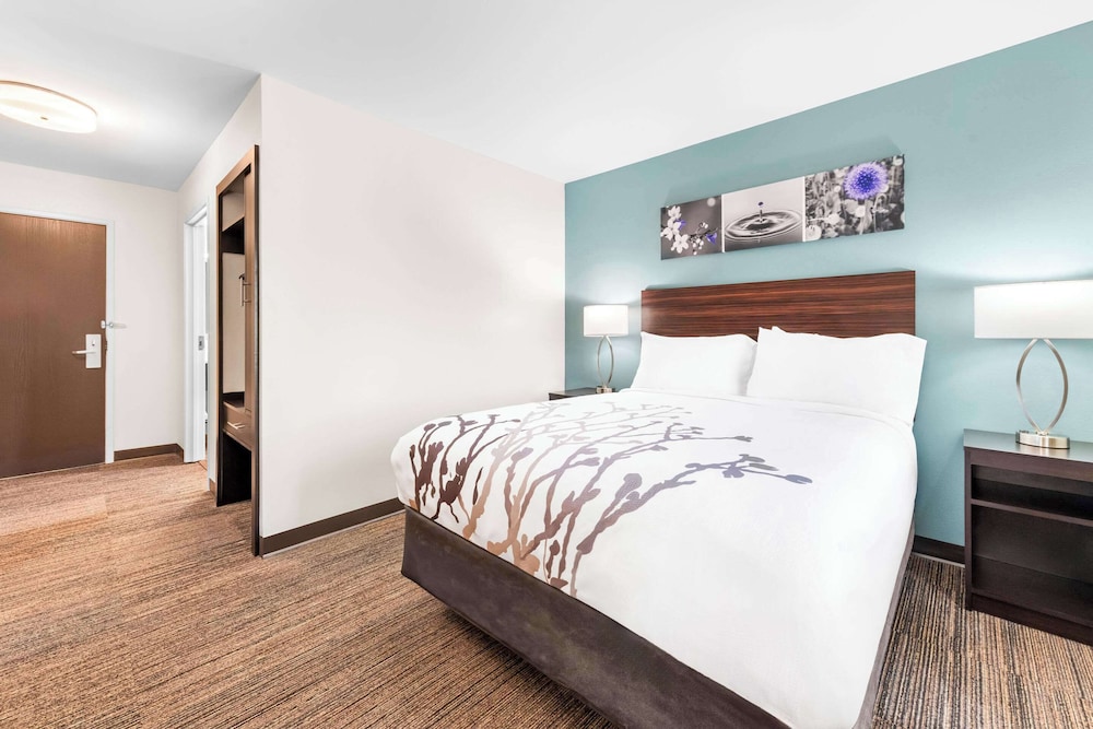 Room, 1 Queen Bed, Accessible, Non Smoking - Photo 5