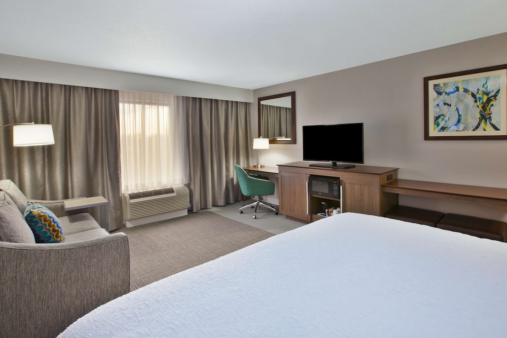Room, 1 King Bed With Sofa Bed, Non Smoking, Refrigerator & Microwave