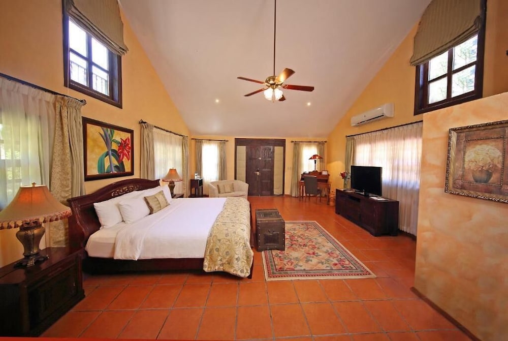 Suite, 1 King Bed photo 3