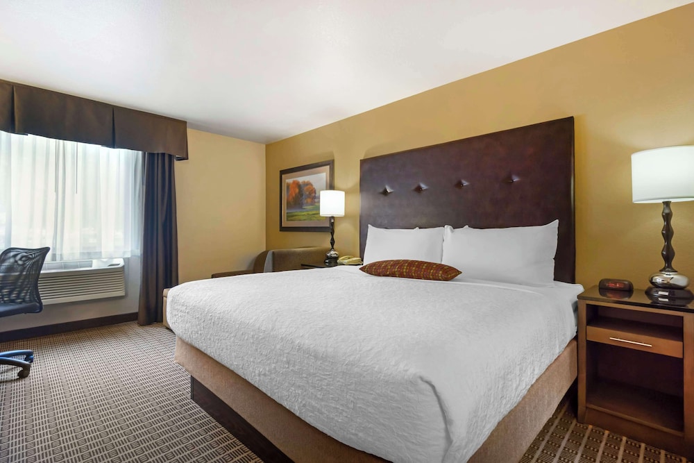 Suite, 1 King Bed, Non Smoking, Refrigerator & Microwave (with Sofabed) photo 1