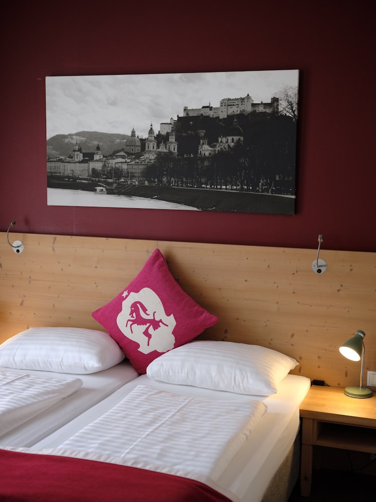 Suite - Photo 2