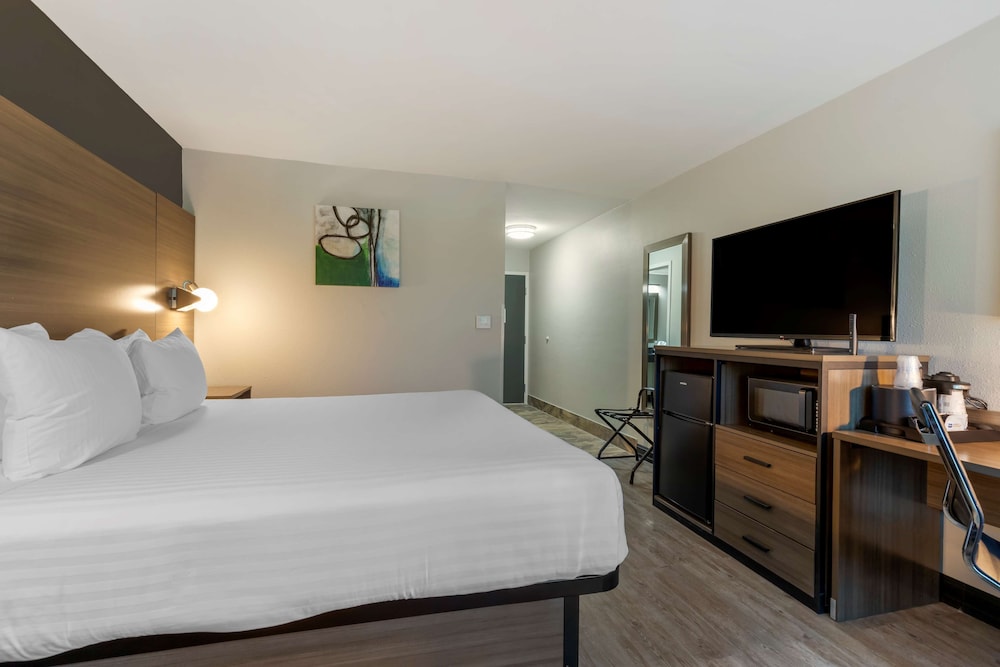 Standard Room, 1 King Bed, Accessible, Refrigerator & Microwave (Refrigerator & Microwave) - Photo 6